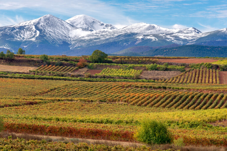 Rioja And Romesco Sauce, Two Bounties Of Spain - Toasting Food, Wine ...