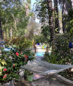 Marc and Robin's Tropical Backyard with Pool and Hammock 