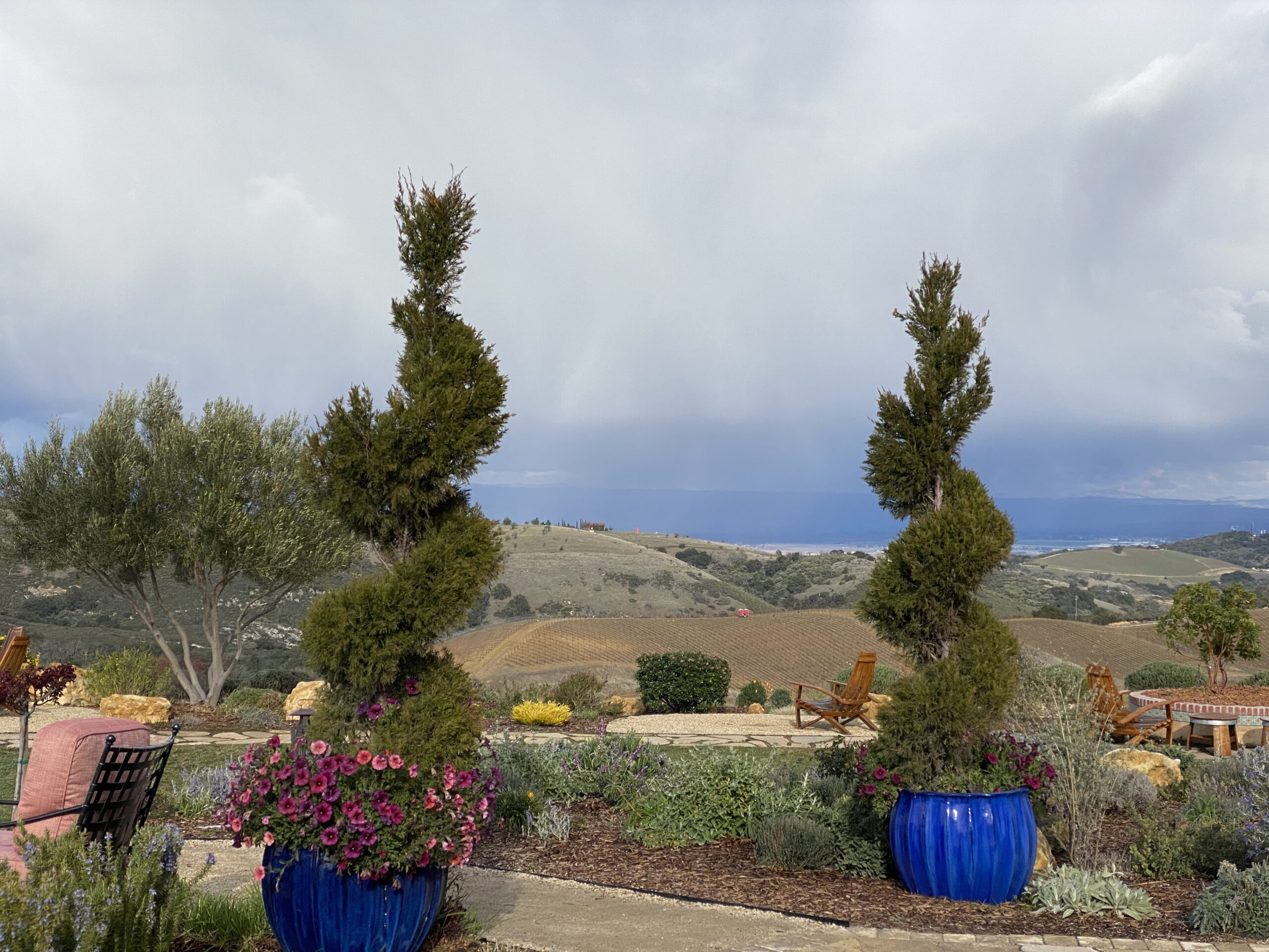 View from Daou Winery of Valley with Topiaries Surrounding It