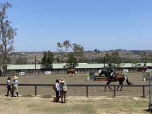 Horses competing at Galway Downs with onlookers