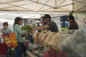 Farmers Market by Dirt Road Travels