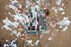 Snow on Red Chile Light String of Lights with Blue Adobe Window in Background by Marble Street Studio