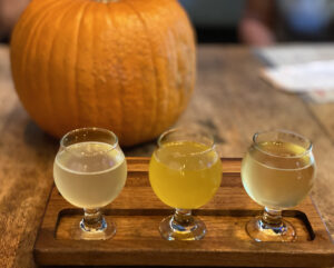 Bivouac Ciders in Glasses with Pumpkiin Behind