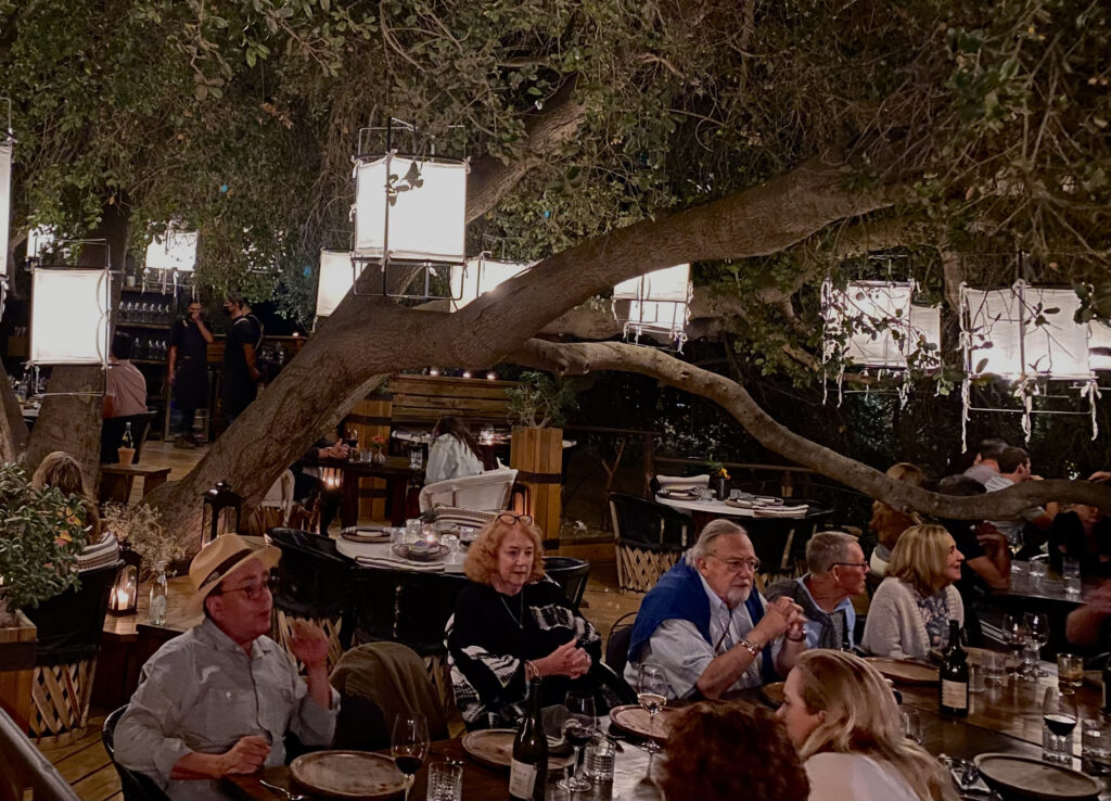 Dining under the 200-year-old oak at Animalon Restaurant