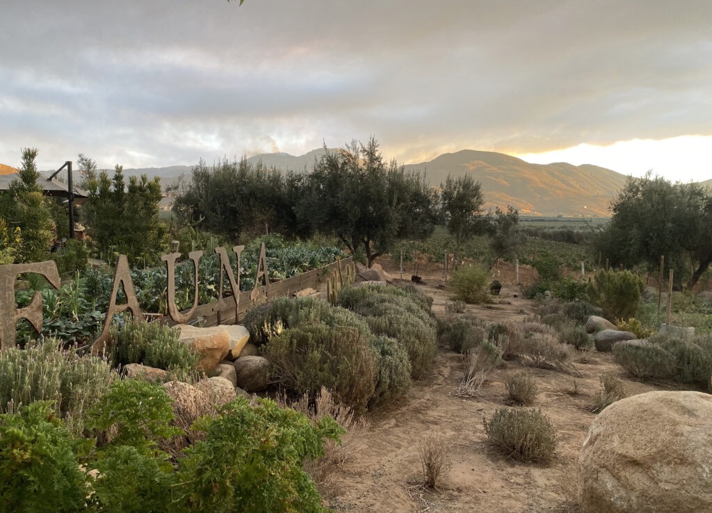 View outside Fauna with Mountains in the background