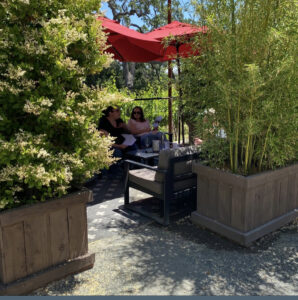 Hope private seating area with umbrella and surrounded by wood planter boxes