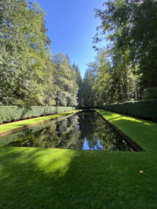 Bloedel Reserve Reflection Pool with moss green grass surrounding it and the reflection of all the trees bordering it