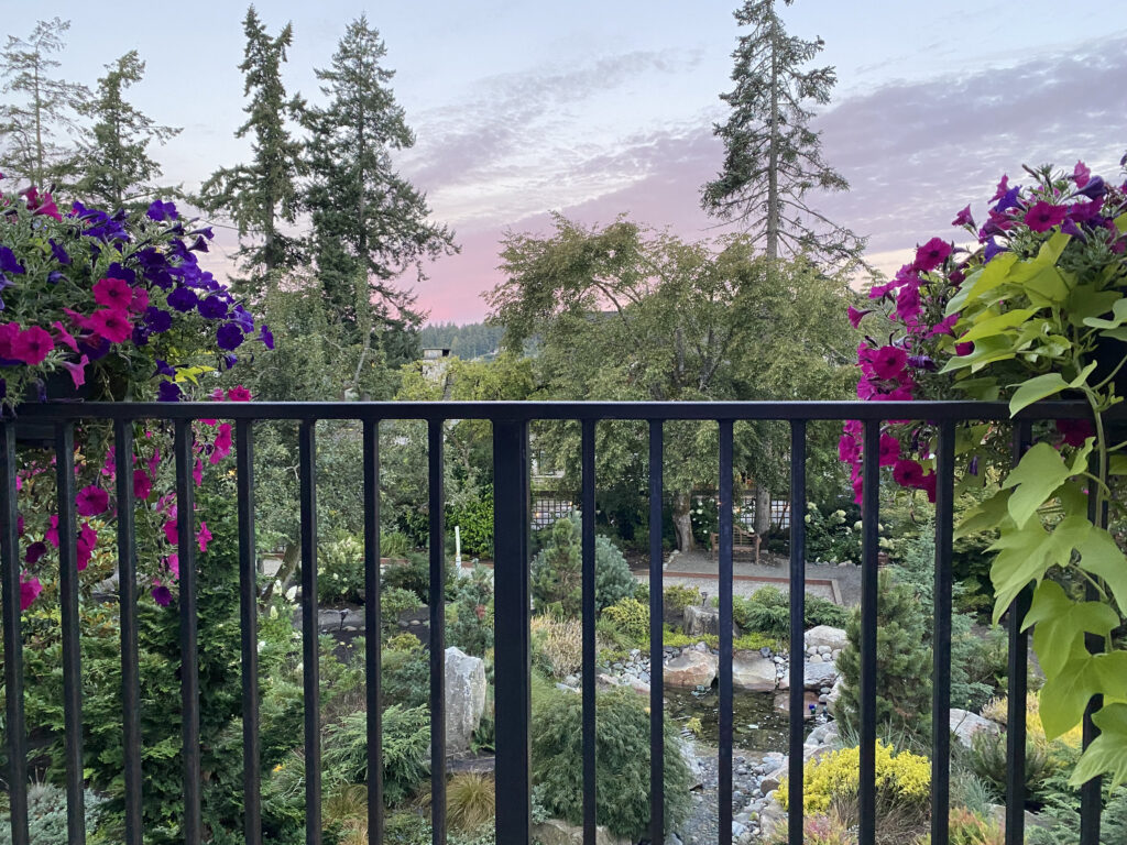 Photo Taken from the balcony at Inn at Pleasant Beach showing off the pink and mauve flower boxes that reflect the sunrise of pink and mauve,