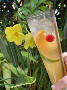 Tall glass with white Sangria next to yellow hibiscus at the entrance to the restaurant