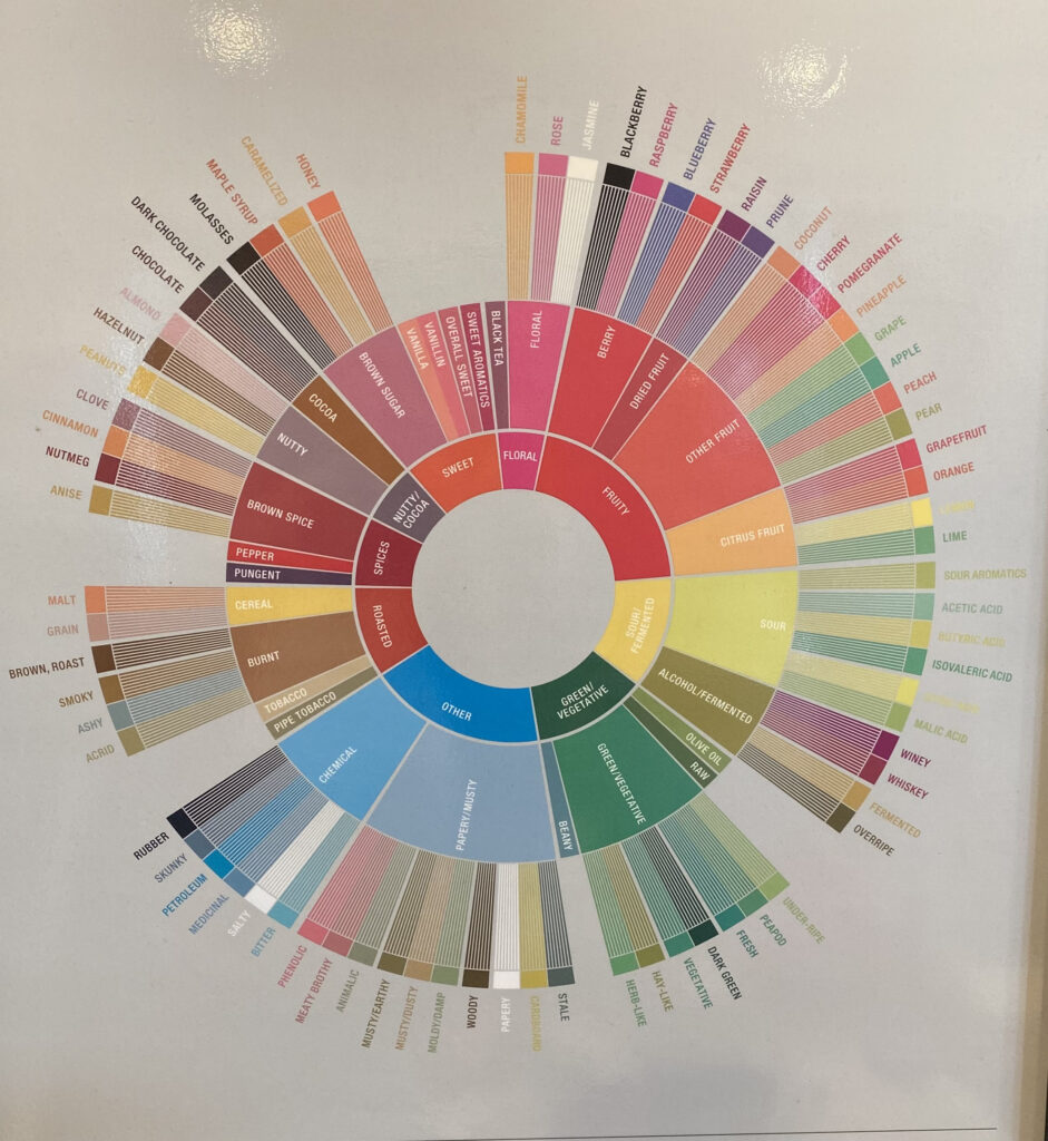 Coffee Tasting Wheel with all the notes of coffee