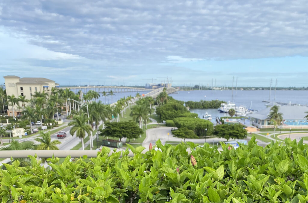 View from Perch 360 of Punta Gorda with water in background