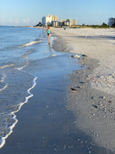 Sparkling Gulf Shore at Sunrise with birds and jogger on the shore at Rumfish Beach Resort