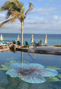 View of hibiscus tile floor in pool overlooking the Sea of Cortez